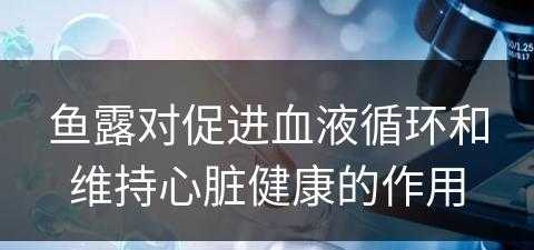 鱼露对促进血液循环和维持心脏健康的作用